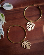 Collection Botanica 🌿  La Monstera Deliciosa