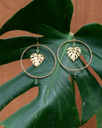 Sous la Canopée... 🍃 Les Essentielles Monstera, vert péridot